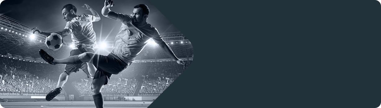 sudoku japanese meaning
